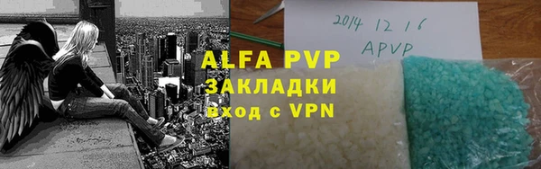 стафф Алзамай