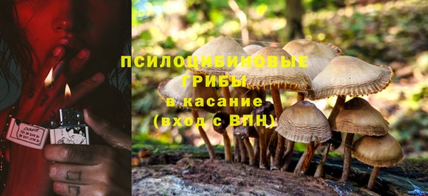 стафф Алзамай