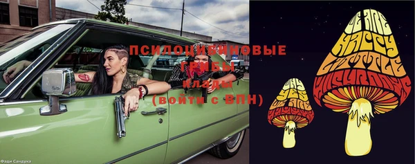 стафф Алзамай
