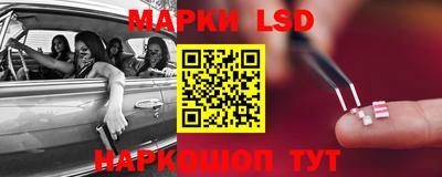 шишки Тверь