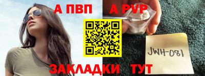 шишки Тверь