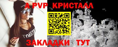 шишки Тверь