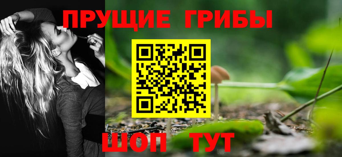продажа наркотиков  Вход с VPN  Псилоцибиновые грибы Psilocybine cubensis  Арсеньев  Галлюциногенные грибы MAGIC MUSHROOMS 